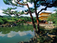 /album/flying/paisaje-en-japon-jpg/